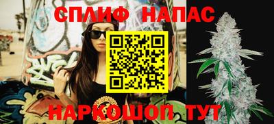 МДПВ Брянск