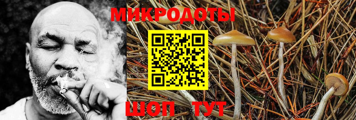 Псилоцибиновые грибы GOLDEN TEACHER Протвино